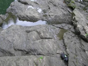 Foliação em rochas metamórficas dobradas. Formação Devoniana da Montanha Gile, Quechee Gorge Vermoont, EUA. (Pesquisa Geológica de Vermont)