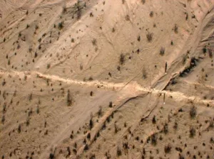 A escarpa da Galway Lake Road se formou ao longo da falha de Emerson durante o terremoto de Landers, Califórnia, em 28 de junho de 1992 (Foto: Ramon Arrowsmith).