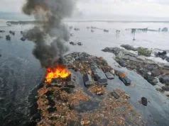Tōhoku Earthquake