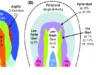 Hydrothermale Alterationszonen im Zusammenhang mit der Porphyr-Kupfer-Lagerstätte