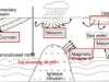 Fluidos hidrotermales que contienen minerales