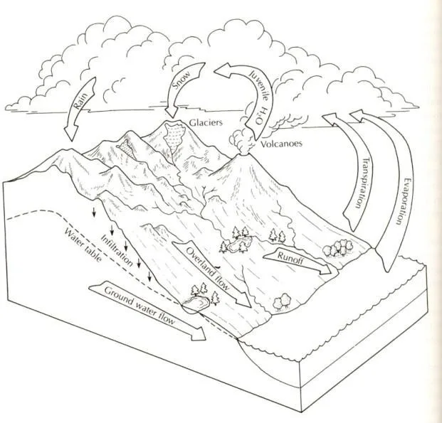 The hydrologic cycle (after Fetter, 2001)