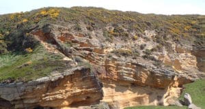 Stratigraphy Sandstone Geology at Clashach Cove