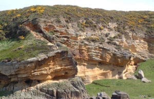Sandstone Geology at Clashach Cove
