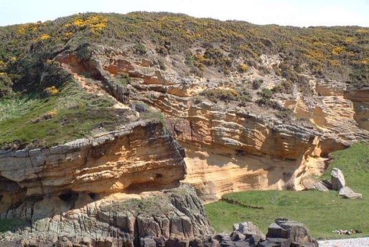 Sandstone Geology at Clashach Cove