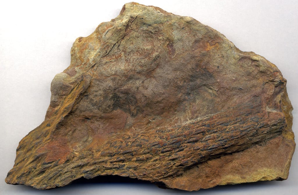 limolita Propiedades, Composición, Formación, Usos » Geología Ciencia