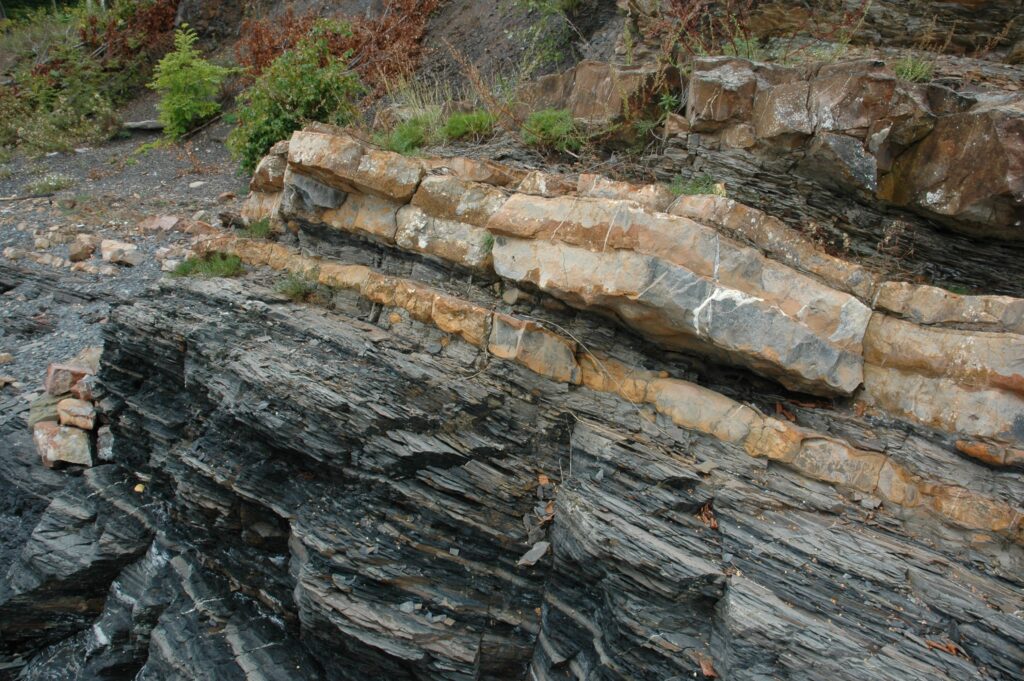 Schiste Formation Composition Propri t s Vari t s Et Fossiles