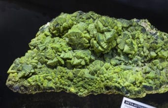 Autunite