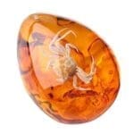 Ambre : Minéral, Pierre Précieuse | Propriétés, Formation, Occurrence