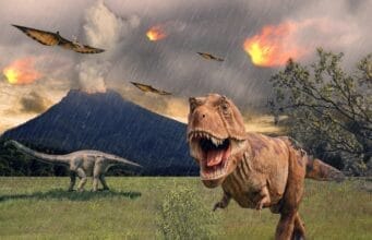 Mass Extinctions in Earth’s History