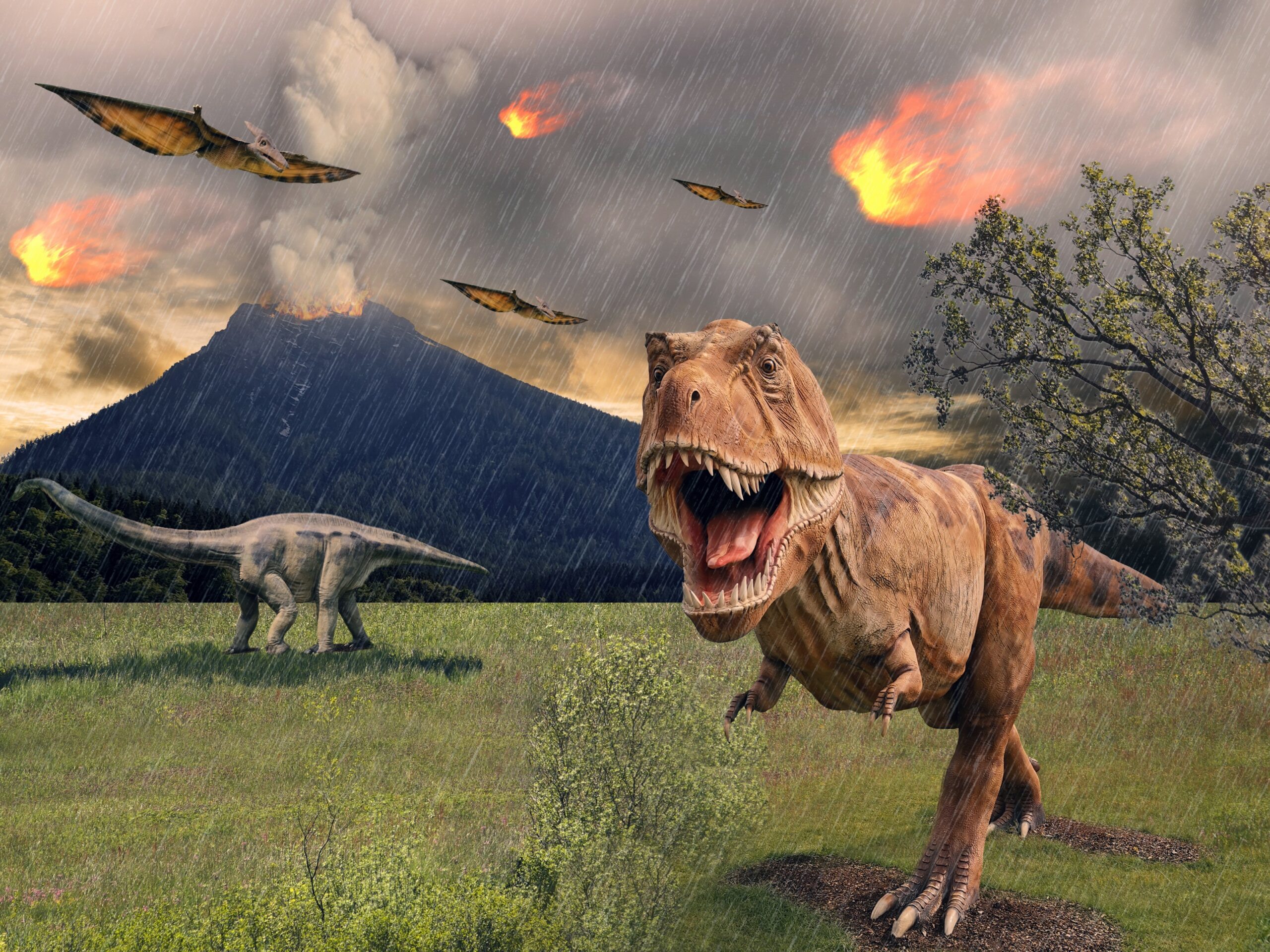 Mass Extinctions in Earth's History » Geology Science