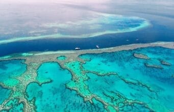 The Great Barrier Reef