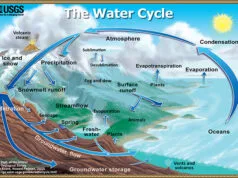 Warum ist Wasser für die Geologie wichtig?