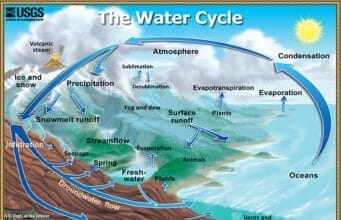 Why is water important to geology?