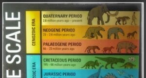 Geologic Time Scale