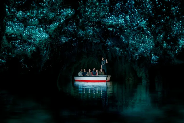 Glowworms illuminating a cave ceiling in the Waitomo cave system, New Zealand