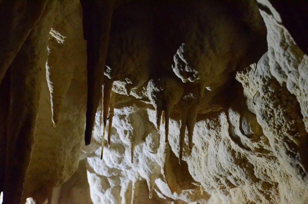 Stalactites formed by calcium carbonate deposition in Ruakuri Cave, Waitomo