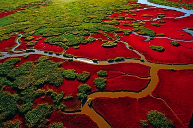 Der Rote Strand China