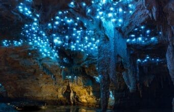 Waitomo Glowworm Caves, New Zealand