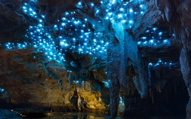 Waitomo-Glowworm-Cuevas-Nueva-Zelanda-4