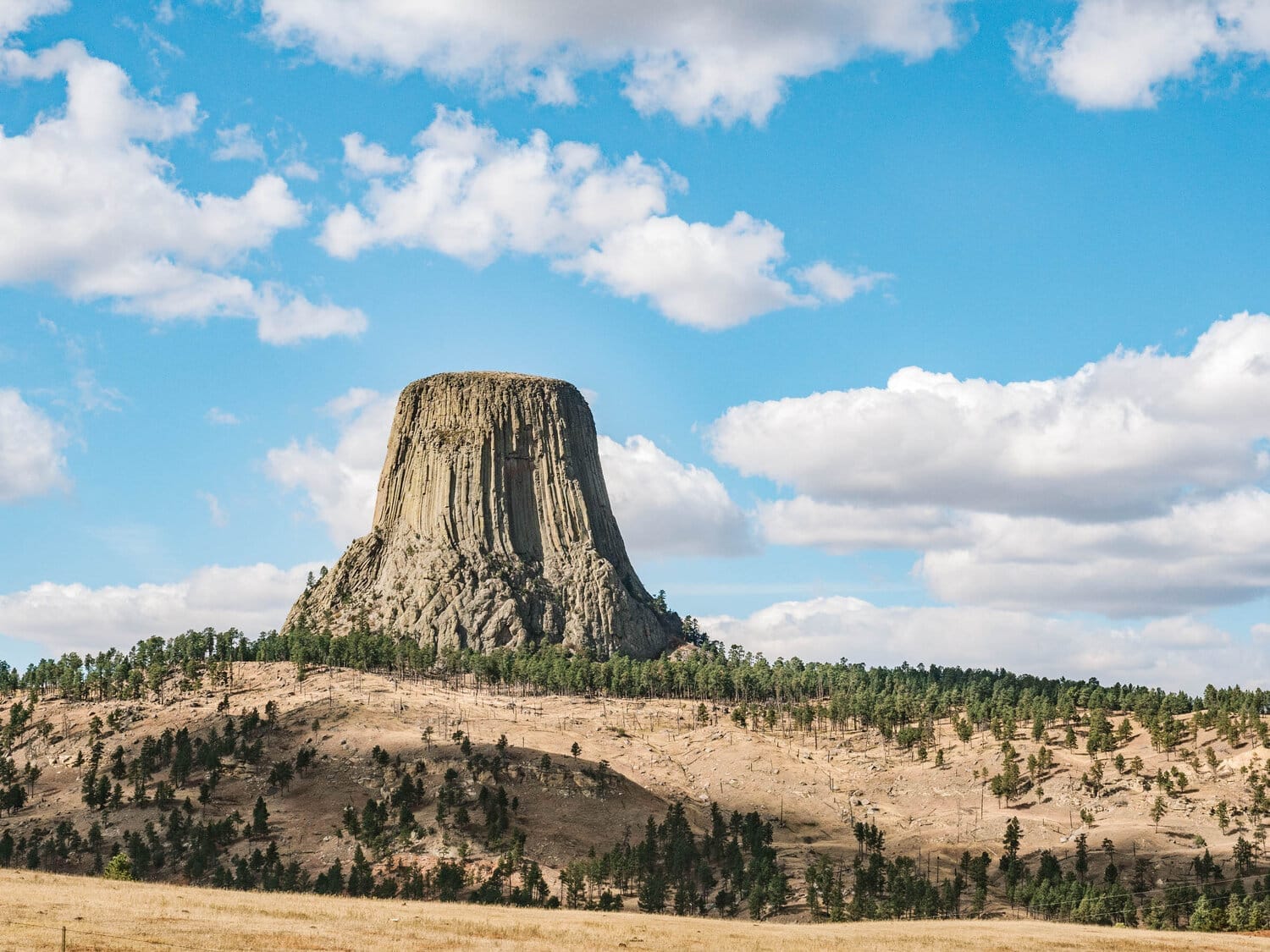 Devil's Tower or Bear Lodge Butte - Geology Science