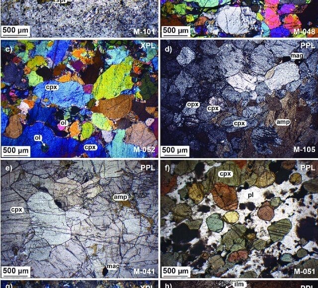Microscopic-views-XPL-crossed-polarized-light-PPL-plane-polarized-light-of_Q640