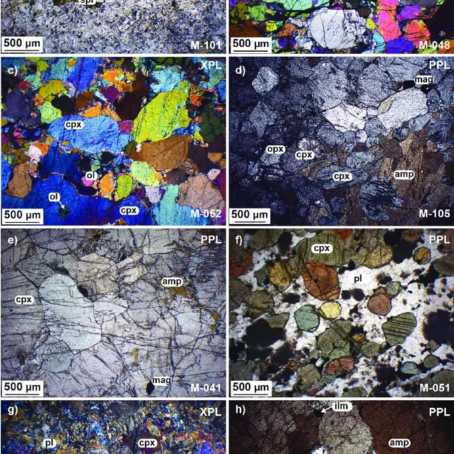 Microscopic-views-XPL-crossed-polarized-light-PPL-plane-polarized-light-of_Q640
