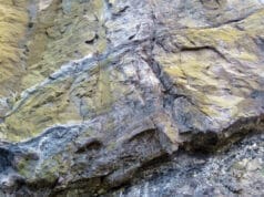 Sedimentary ore minerals