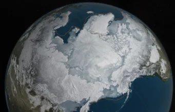 The Ice Age