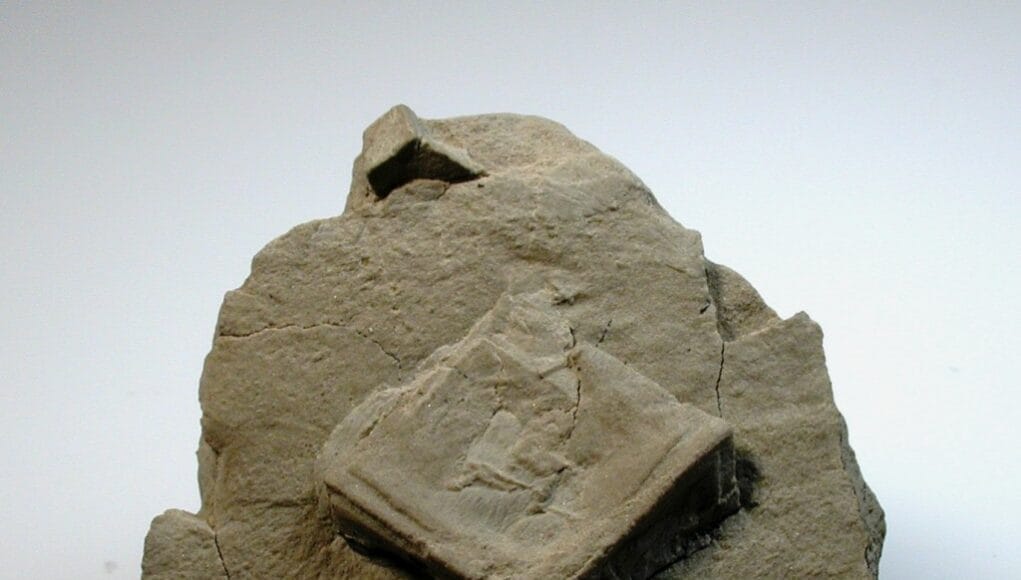 A-block-of-illite-from-Nebraska.