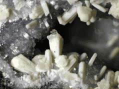 Smectite