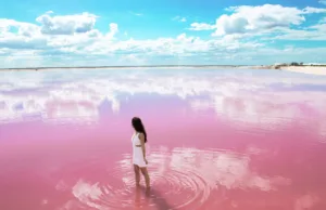 Las Coloradas, Mexico