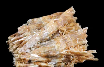 Selenite
