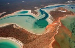 Shark Bay, Australia
