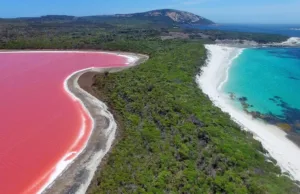 The Lake Hillier, Australia