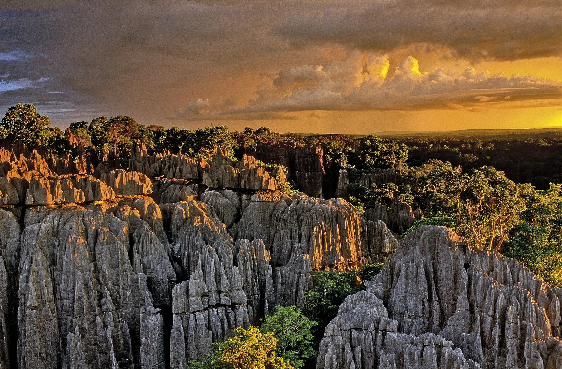 Parc National du Tsingy de Bemaraha, Madagascar » Science de la géologie