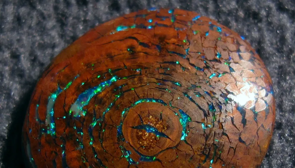 Opalized-Wood-2