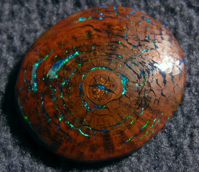 Opalized-Wood-2