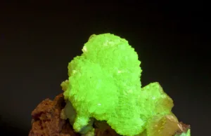 adamite