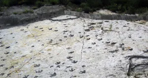 Dinosaur Ridge, USA: Earth’s Ancient History