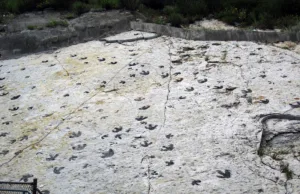 Dinosaur Ridge, USA: Earth’s Ancient History