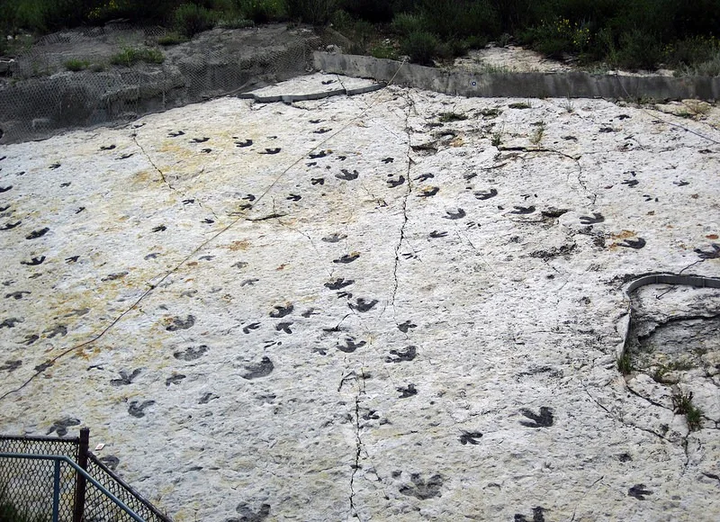Dinosaur-Ridge-4
