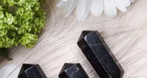 Black Tourmaline (Schorl)