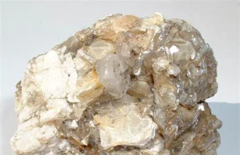 Muscovite