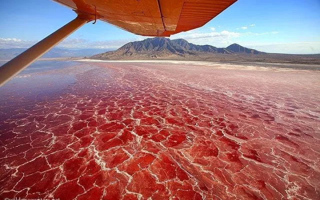Lake Natron, Tanzania