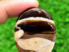 Jaspe en bois d'arachide