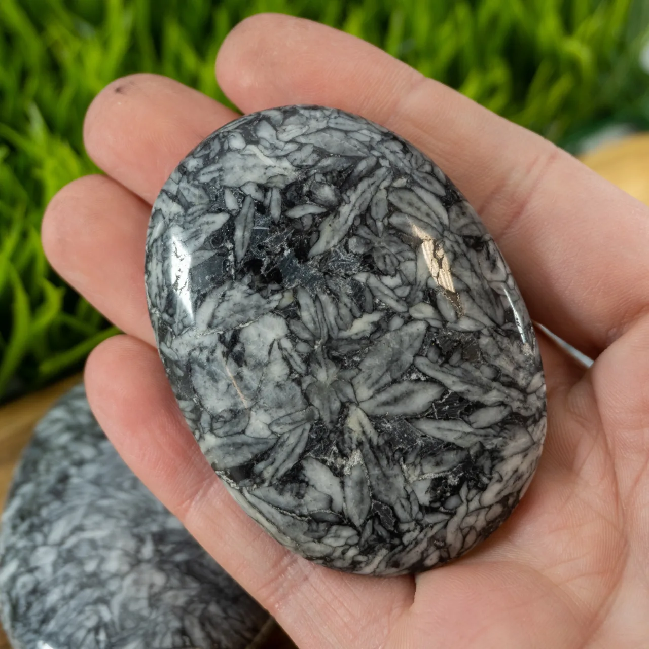 Pinolith : Properties, Occurrence, Localities - Geology Science