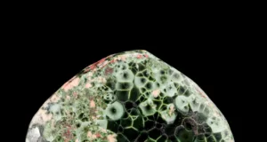 Chlorastrolite (Green Starstone)