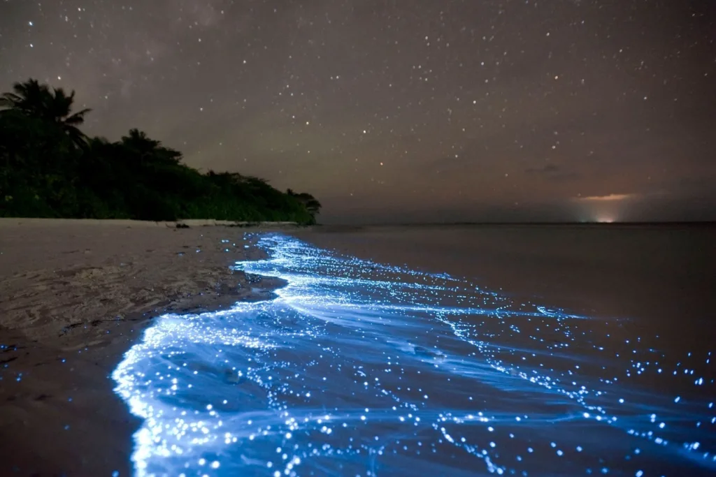 Bioluminescent Beaches (Vaadhoo Island, Maldives)