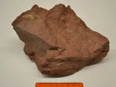 Claystone